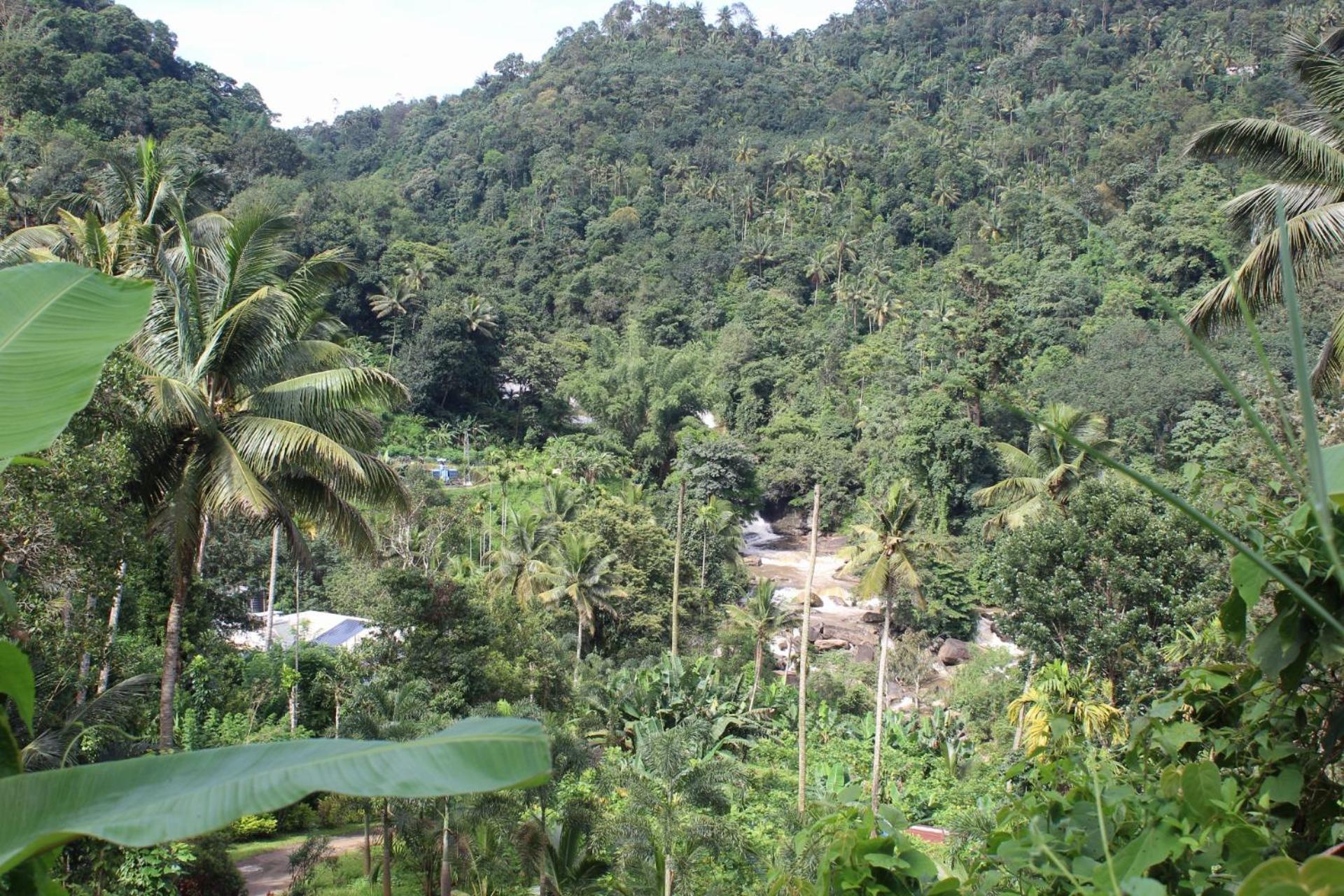 Munnar Village Homes Экстерьер фото