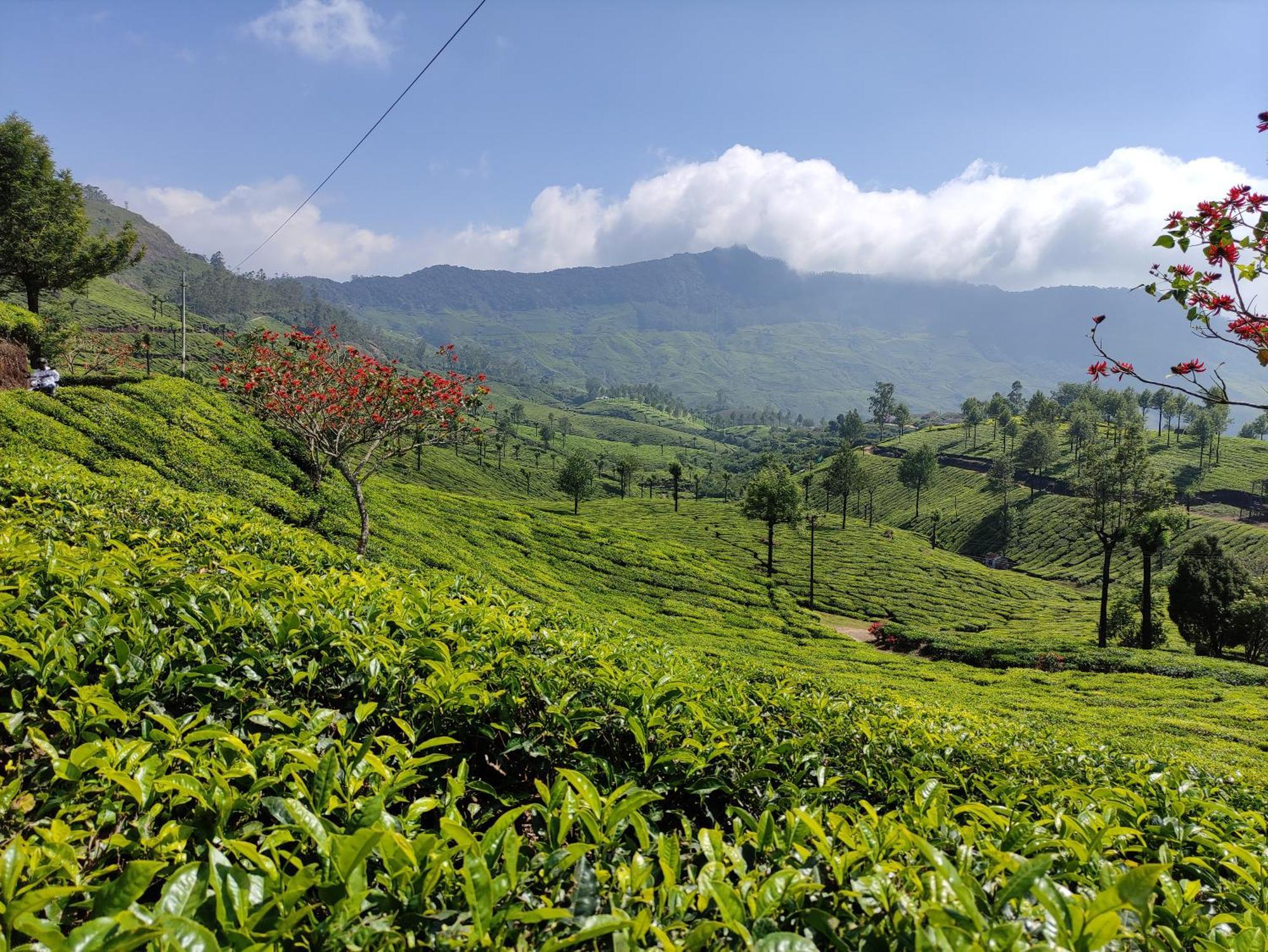 Munnar Village Homes Экстерьер фото