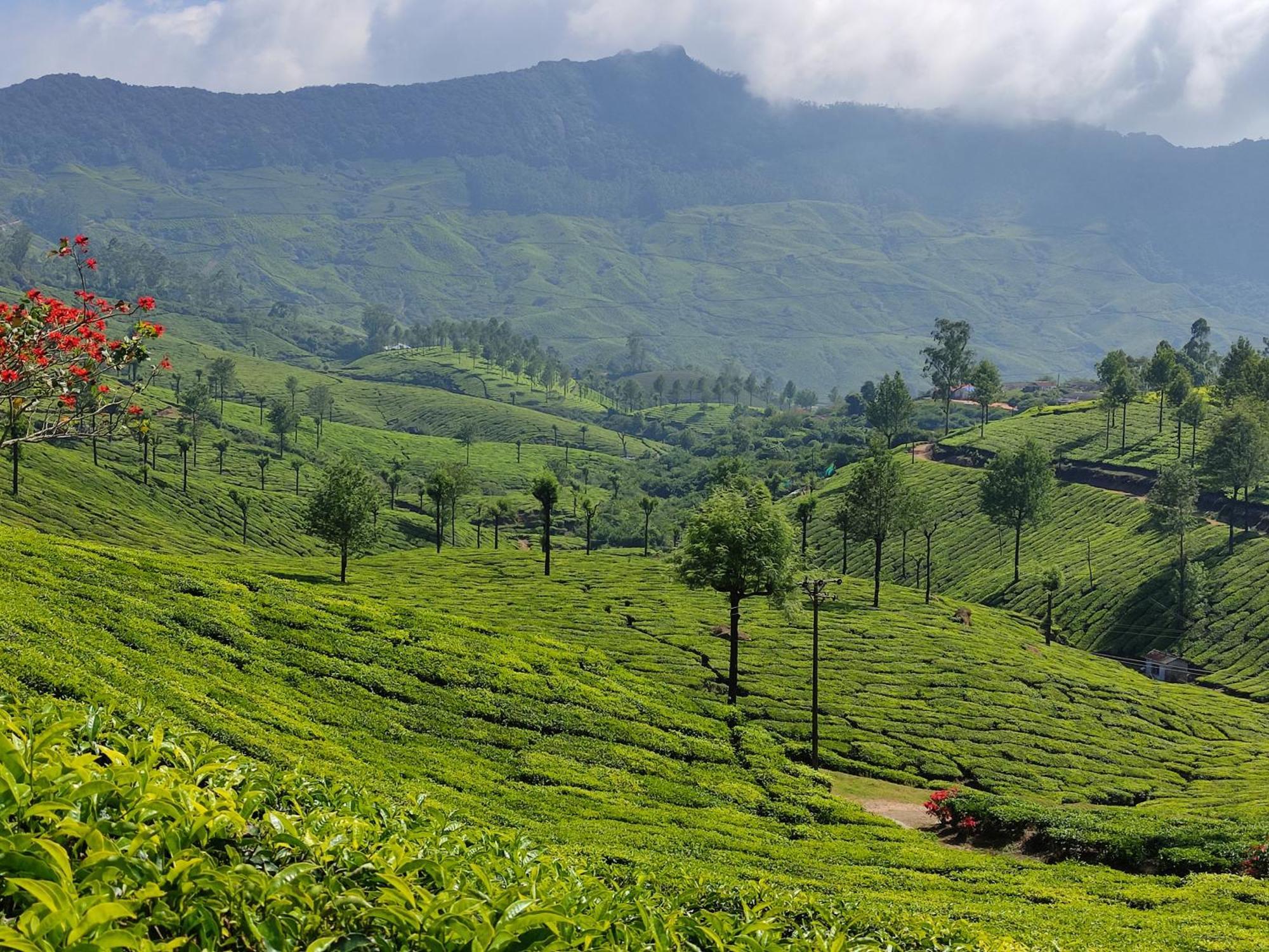 Munnar Village Homes Экстерьер фото